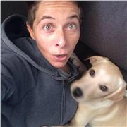 Insegnante materie umanistiche